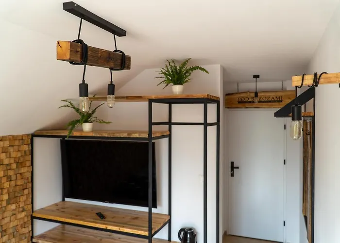 Pod Brzozami منزل للإقامة *